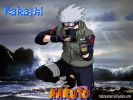 KAKASHI.JPG