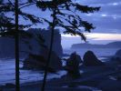 Ruby Beach.JPG