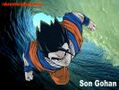 Son Gohan.jpg