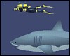 Juegos de accion - Mad Shark